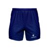 Gym Running Workout Training Shorts For Men Online India Blue Color