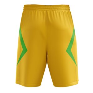 Men's Regular Fit Polyester Shorts | Quick Dry for Basketball Badminton Gym Running Sports Yellow & Green Color