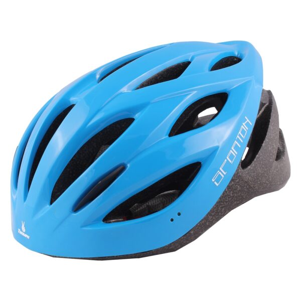 Skating Helmet Blue Spartan | Men's Cycling Helmets