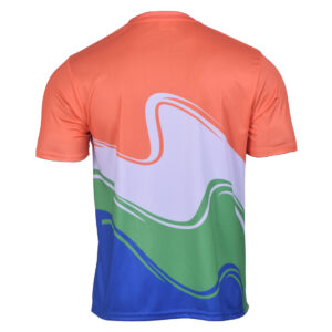 Triumph Indian Flag Tricolour T-shirt Online Independence day Men T Shirt Tees Design Republic day t-shirt for Mens